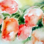 Tulipes <span id='small'>| aquarelle 26 x 36</span>